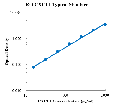 Rat  CXCL1/CINC-1 Standard (大鼠趋化因子 (C-X-C基序) 配体1 标准品)