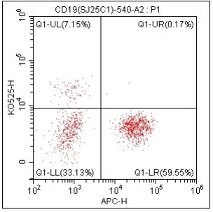 Anti-Human CD19, mFluor 540（Clone:SJ25C1）检测试剂 - 结果示例图片