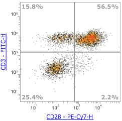 Anti-Human CD28 (CD28.2)，PE-Cy7 流式抗体 - 结果示例图片