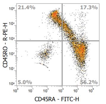 Anti-Human CD45RO, PE (Clone: UCHL1) - 结果示例图片