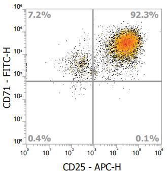 Anti-Human CD71, FITC(Clone：OKT9) - 结果示例图片