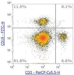 Anti-Mouse CD3ε, PerCP-Cy5.5 (Clone:145-2C11) 流式抗体 - 结果示例图片