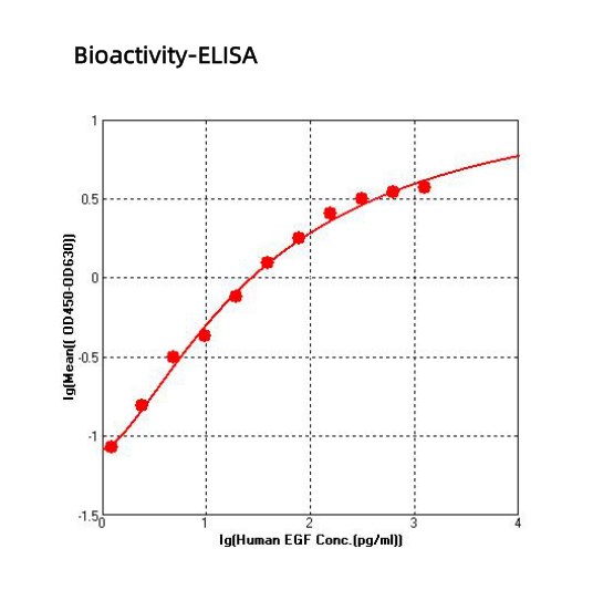 Recombinant Human EGF