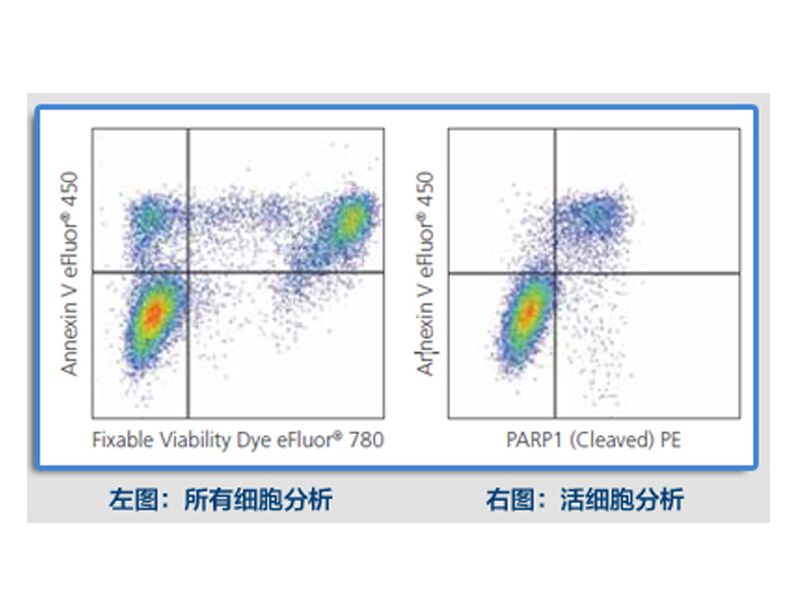 懂了这些知识，能帮你做好Th1/Th2检测