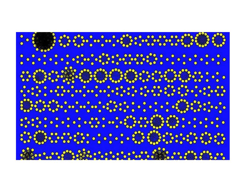 Read more about the article 科学家绘制世界最大蛋白质图谱