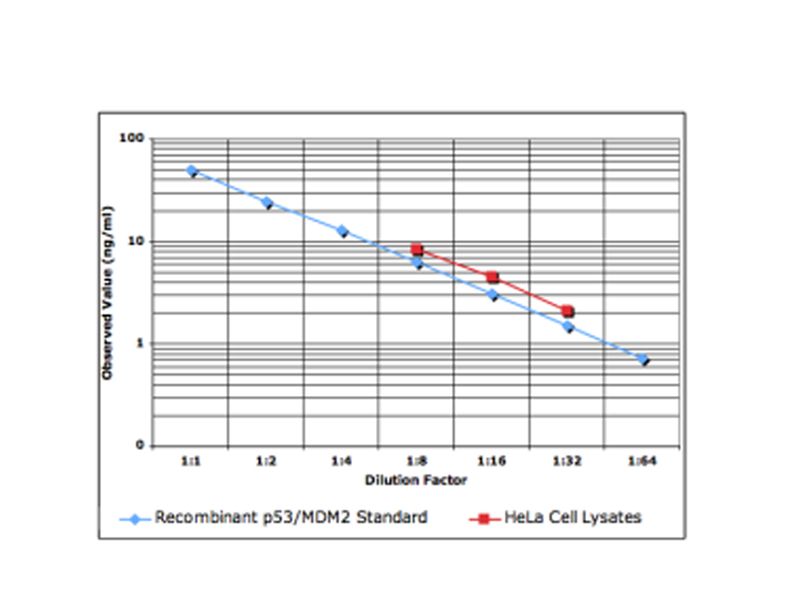 Read more about the article 首个p53/MDM2复合物的ELISA检测