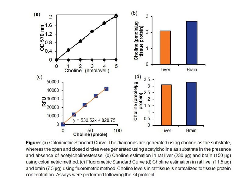 Read more about the article BioVision 神经生物学相关检测试剂盒