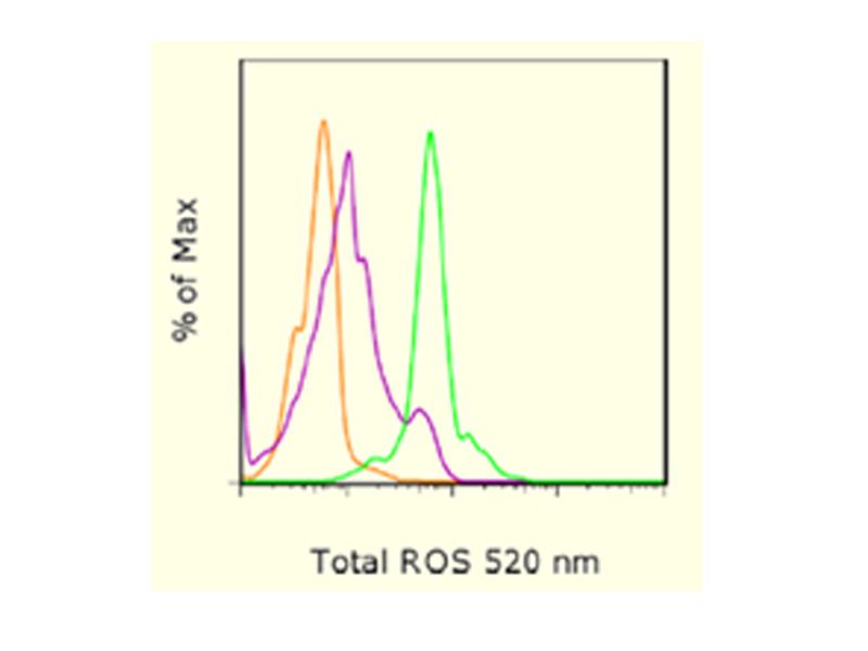 Read more about the article eBioscience最新推出：总活性氧流式分析试剂盒