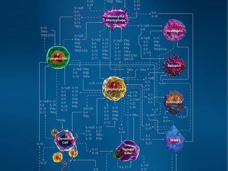 Read more about the article Cytokine Network Poster