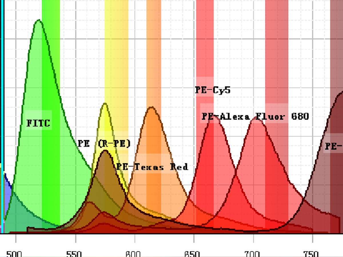 流式荧光多种多样，你都清楚吗？